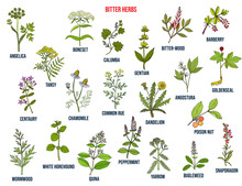 Bitter Herbs Collection