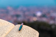 © asiraj - A journal notebook placed outdoors in open. selective focus.