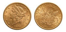 United States 20 Dollars Gold Coin 1893
