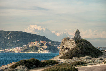 Wall Mural - Punta Caldanu and citadel of Calvi in Corsica