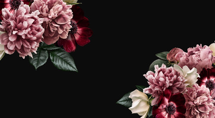 floral banner, header with copy space. pink peony, white roses, red anemone, purple tulip isolated i