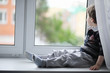 © alexkich - The little boy is reading a book. The child sits at the window and prepares for lessons. A boy with a book in his hands is sitting on the windowsill.
