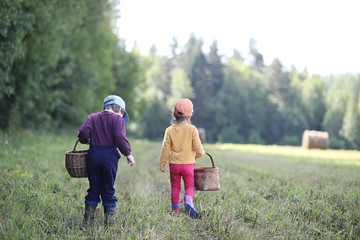 Children go to the forest for mushrooms