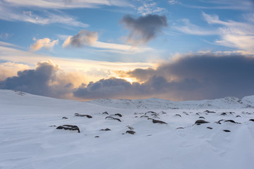 Wall Mural - snow covered mountains with rocks in arctic environment at sunset