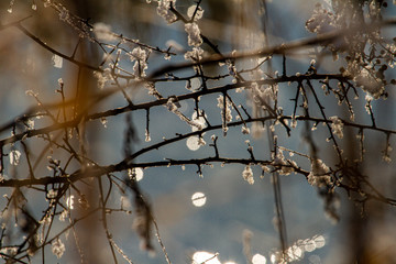 Sticker - Winter time in Romania