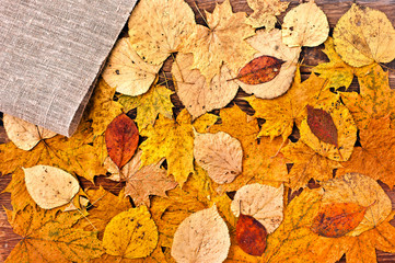 Wall Mural - Background of fallen autumn yellow leaves from different trees with jute napkin. Top view.