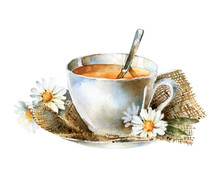 Watercolor Cup Of Tea With Chamomile