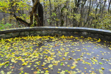 Wall Mural - autumn in the park