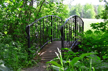 Wall Mural - old wooden bridge in garden