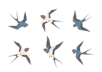 Wall Mural - Set of swallows birds in flight