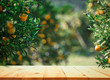 Leinwandbild Motiv Empty wood table with free space over orange trees, orange field background. For product display montage