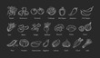 © Moonnoon - Hand drawn vegetable set vector illustration. White line contour doodle vegetables, eggplant and garlic, corn and mushroom doodle icon with label on white background for restaurant menu retro design
