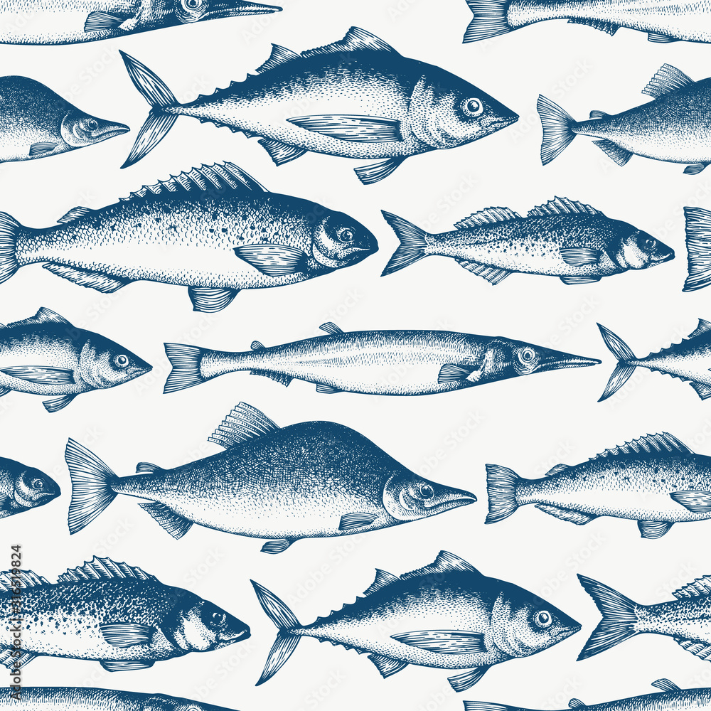 Fish seamless pattern. Hand drawn vector fishes illustration. Engraved style. Vintage different kinds of fish background. - obrazy, fototapety, plakaty 