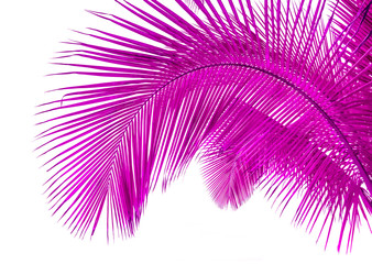Fototapeta sztuka palma fiołek wzór piłka