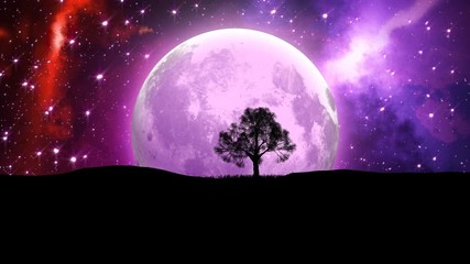 Wall Mural - fantasy animation - the moon planet and lonely bare tree silhouette on nebula space background. elem