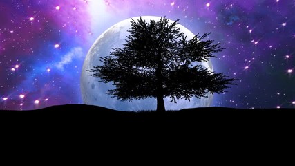 Wall Mural - tree silhouette and the moon on starry space background. elements of this image furnished by nasa.