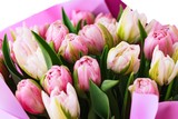 Fototapeta Tulipany - Fresh tulips bouquet of rosy color