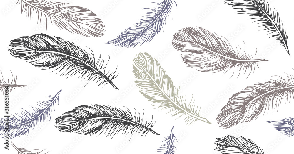 Hand drawn feather on white background. Stock Vector | Adobe Stock