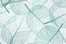 Seamless Pattern With Leaves Veins. Vector Illustration.