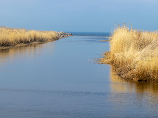 Wall Mural - spring landscape with small river mouth, dry reeds