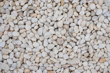 Beautiful smooth white pebbles for background and texture.