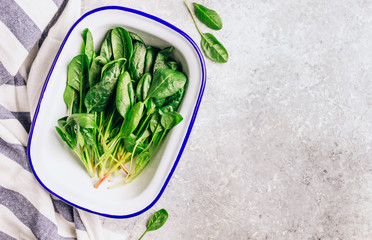 Wall Mural - Fresh green baby spinach on plate on stone table. Healthy diet, vegetarian food concept.