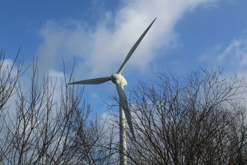 Wall Mural - Windmills on a winter day shape the landscape in East Frisia