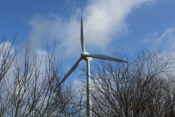 Wall Mural - Windmills on a winter day shape the landscape in East Frisia