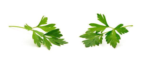 Wall Mural - Parsley isolated on white
