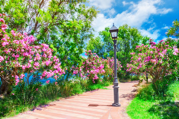 Wall Mural - City park