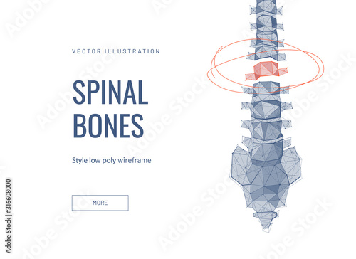 Cuadros en Lienzo Spinal discs low poly wireframe landing page template