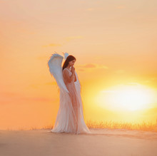 Attractive Young Woman Angel Stands In Desert Praying. Creative Glamour Design Costume Clothes With Bird Wings Feathers. Bright Yellow Color Sunset Dramatic Heaven. Photo Shoot Divine Fairy Spirit