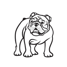 English Bulldog - Isolated Outlined Vector Illustration