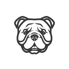 English bulldog face - isolated vector illustration