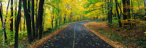 Fotografía This is the Greylock State Reservation in autumn