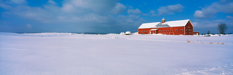 Wall Mural - This is a red barn in the snow on Darling Hill Road. It is representative of winter in New England.