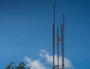 Wall Mural -  blue sky and yellow bird at the top of a construction