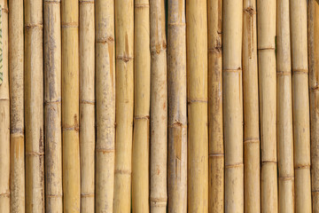  Bamboo trunk background and texture