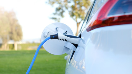 Electric car or ev is charging at station . man use the white power cable and plug on nature background. eco and clean energy concept with the mobile phone smart technology. zero gas no transmission