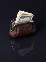 Wall Mural - Brown purse with dollar bills