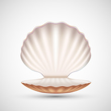 Open Empty Seashell Icon Isolated On A White Background