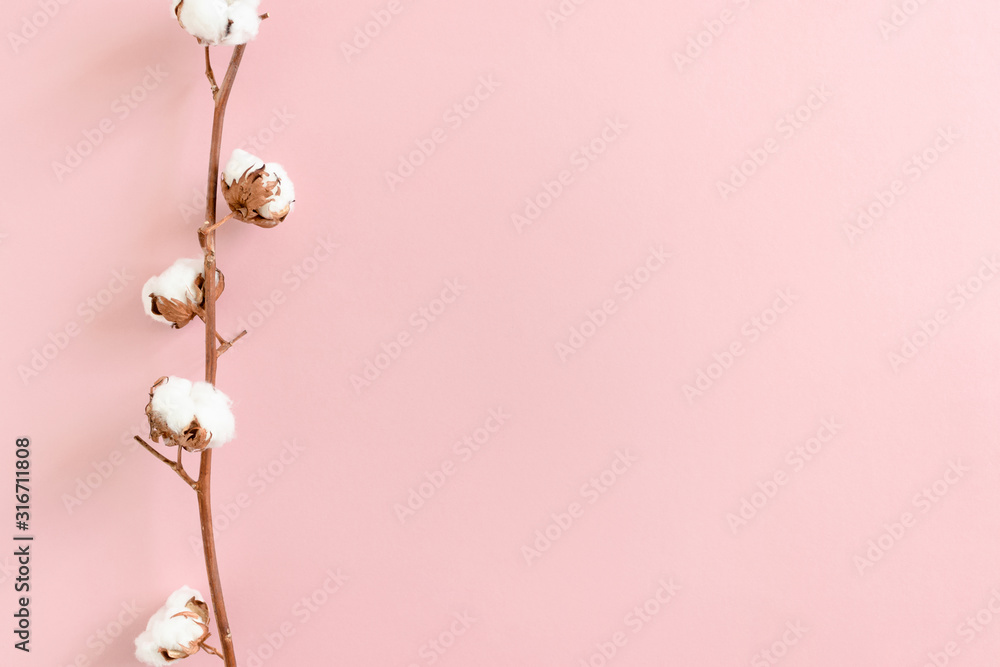 Border frame made of cotton branch on pink background - obrazy, fototapety, plakaty 
