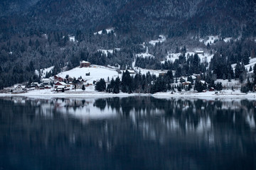 Frozen lake and pine trees in snow at Colibita. Romania early morning winter scen.