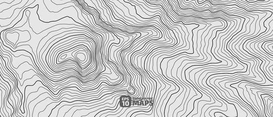 Wall Mural - the stylized height of the topographic contour in lines and contours. the concept of a conditional g