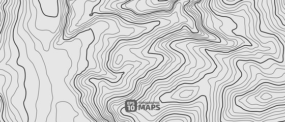 Wall Mural - the stylized height of the topographic contour in lines and contours. the concept of a conditional g