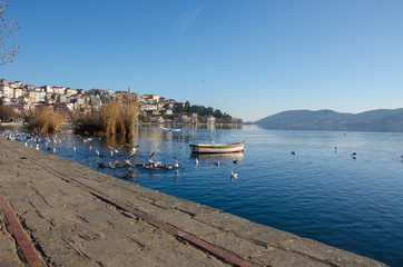 Wall Mural - Kastoria city (Kostur), Greece - Lake Orestiada