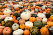 Halloween many different pumpkin sorts