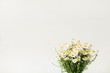 © Floral Deco - Closeup of chamomile daisy flowers bouquet on white background. Minimal floral composition.