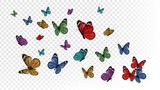 Fototapeta  - Flying butterflies. Colorful butterfly isolated on transparent background. Spring and summer insects vector illustration. Butterfly summer and spring insect, flying animal