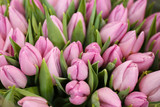 Fototapeta Tulipany - Beautiful bouquet of violet tulip flowers as background, closeup